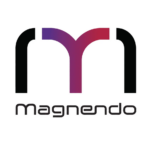 Magnendo Secures $18M Series A Financing to Develop Robotic Stroke Intervention Tech